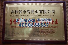  Top 100 Integrity Service Enterprise in Jilin Province 