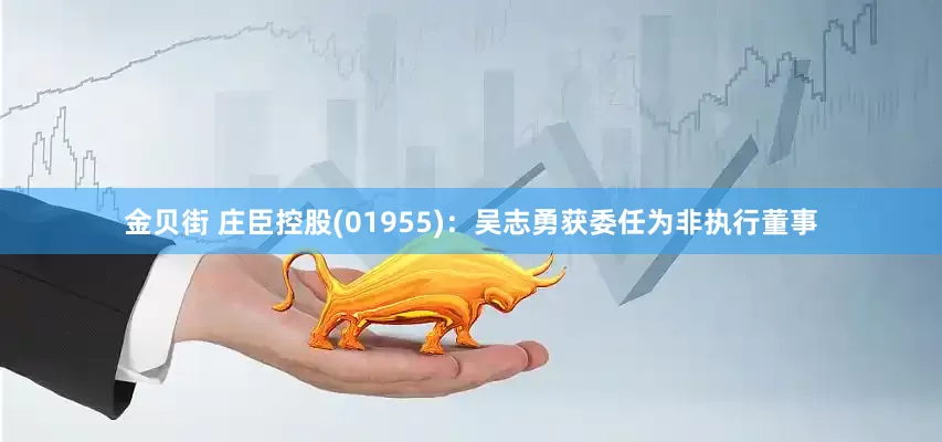 金贝街 庄臣控股(01955)：吴志勇获委任为非执行董事
