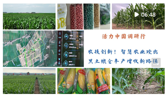 涨配资 活力中国调研行｜农技创新！智慧农业蹚出黑土粮仓丰产增收新路径_大皖新闻 | 安徽网